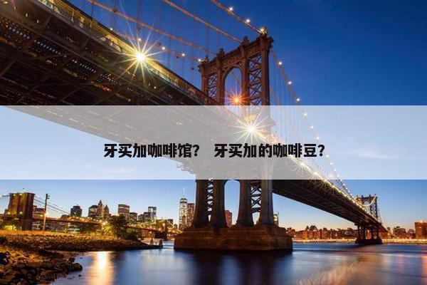 牙买加咖啡馆？ 牙买加的咖啡豆？