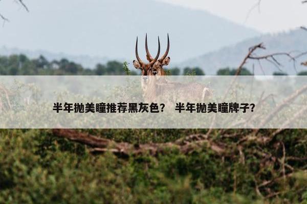 半年抛美瞳推荐黑灰色？ 半年抛美瞳牌子？
