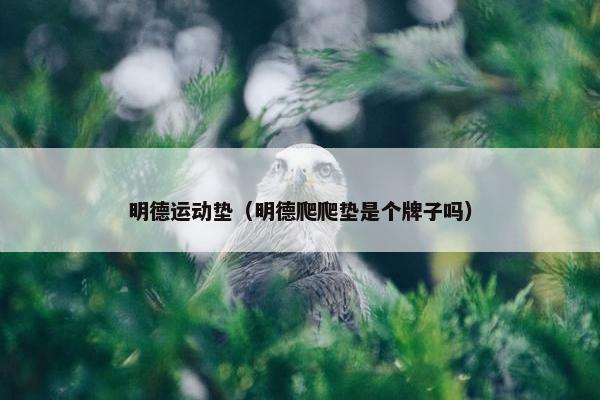 明德运动垫（明德爬爬垫是个牌子吗）