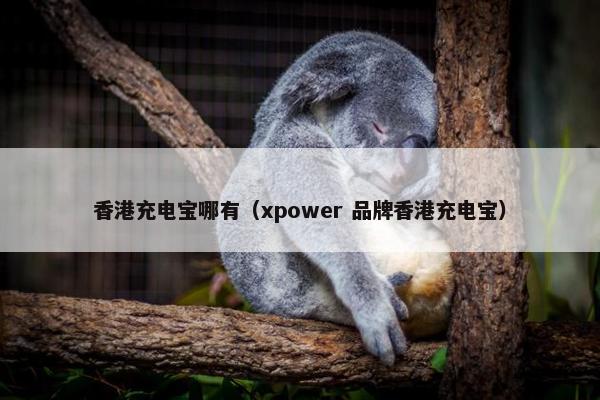 香港充电宝哪有（xpower 品牌香港充电宝）