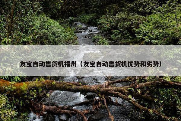 友宝自动售货机福州（友宝自动售货机优势和劣势）