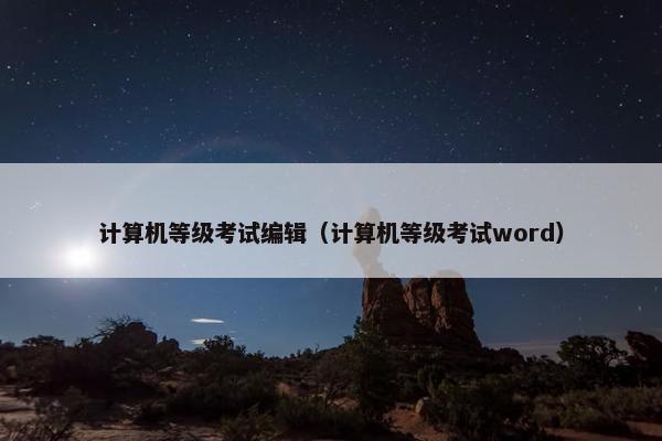 计算机等级考试编辑（计算机等级考试word）