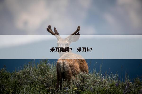 采耳陷阱？ 采耳h？