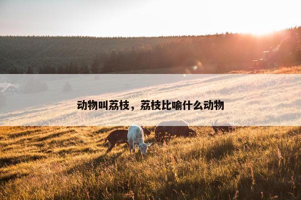 动物叫荔枝，荔枝比喻什么动物