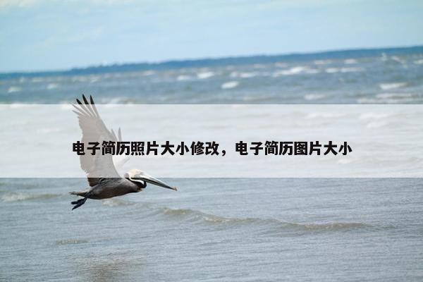 电子简历照片大小修改，电子简历图片大小