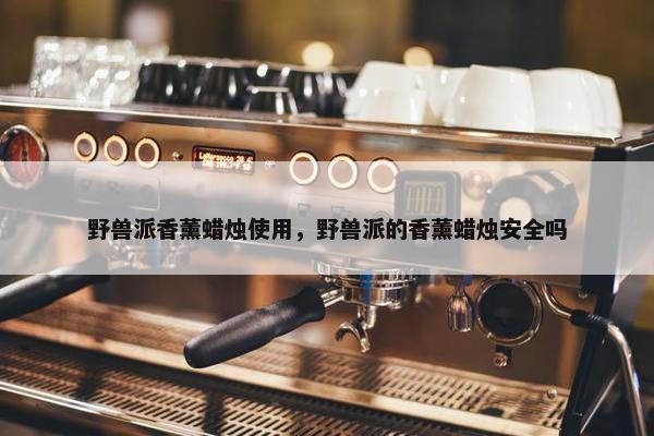 野兽派香薰蜡烛使用，野兽派的香薰蜡烛安全吗