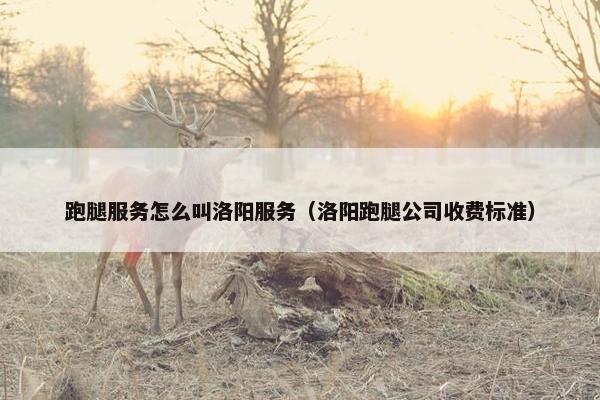 跑腿服务怎么叫洛阳服务（洛阳跑腿公司收费标准）