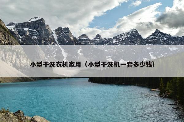 小型干洗衣机家用（小型干洗机一套多少钱）