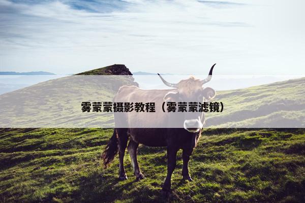 雾蒙蒙摄影教程（雾蒙蒙滤镜）