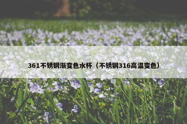 361不锈钢渐变色水杯（不锈钢316高温变色）