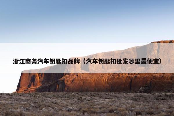 浙江商务汽车钥匙扣品牌（汽车钥匙扣批发哪里最便宜）