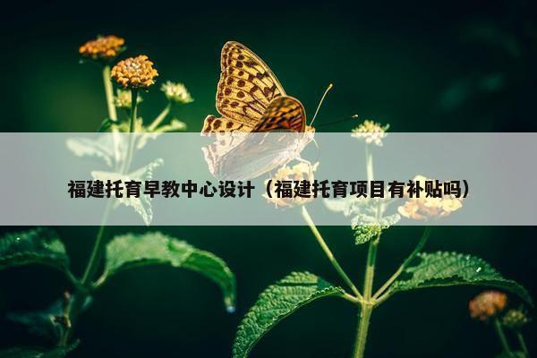 福建托育早教中心设计（福建托育项目有补贴吗）
