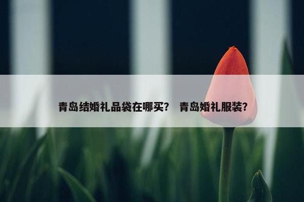 青岛结婚礼品袋在哪买？ 青岛婚礼服装？