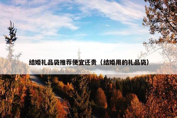 结婚礼品袋推荐便宜还贵（结婚用的礼品袋）
