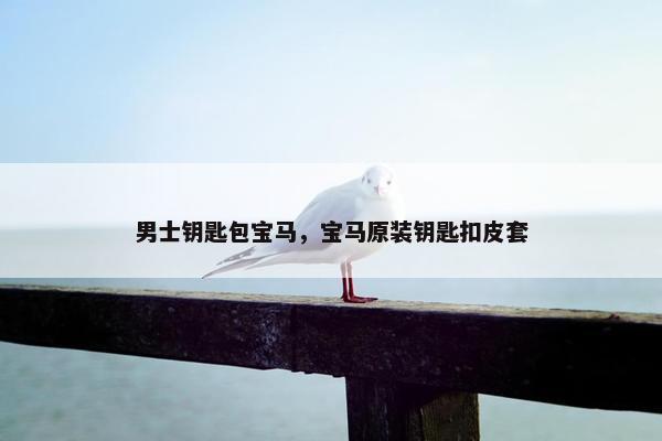 男士钥匙包宝马，宝马原装钥匙扣皮套