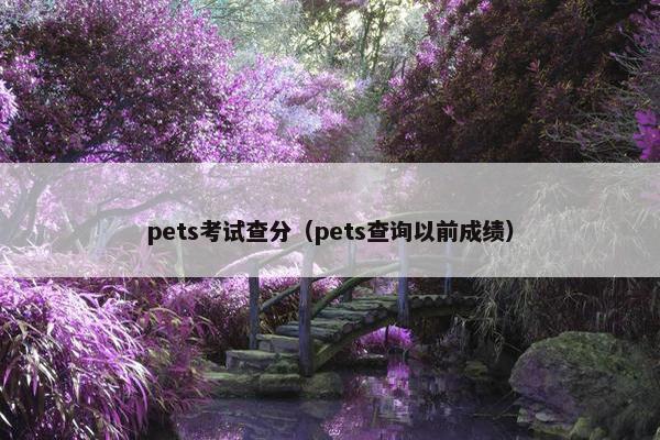 pets考试查分（pets查询以前成绩）