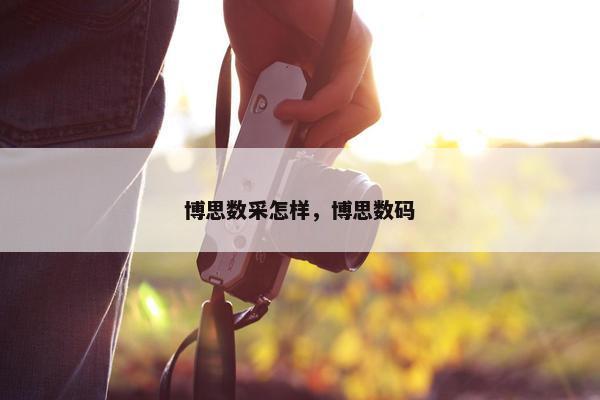 博思数采怎样，博思数码