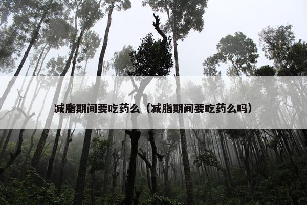 减脂期间要吃药么（减脂期间要吃药么吗）
