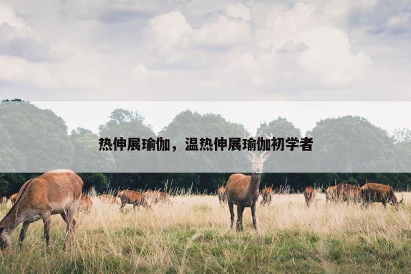 热伸展瑜伽，温热伸展瑜伽初学者