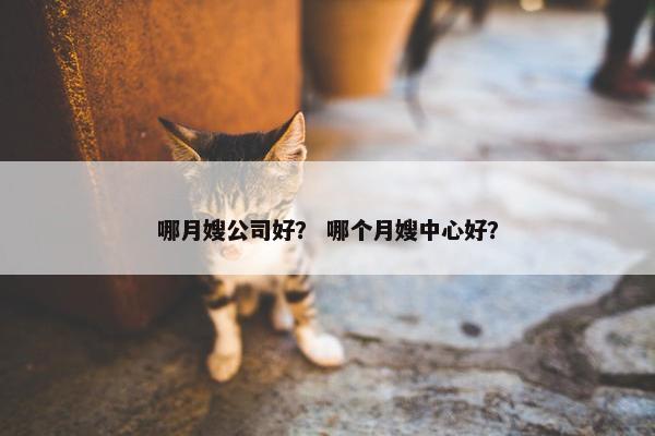 哪月嫂公司好？ 哪个月嫂中心好？