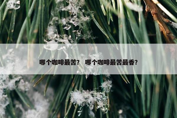 哪个咖啡最苦？ 哪个咖啡最苦最香？