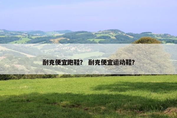 耐克便宜跑鞋？ 耐克便宜运动鞋？