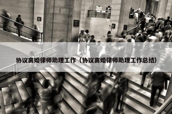 协议离婚律师助理工作（协议离婚律师助理工作总结）