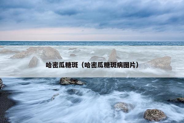 哈密瓜糖斑（哈密瓜糖斑病图片）