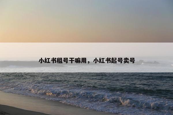 小红书租号干嘛用，小红书起号卖号