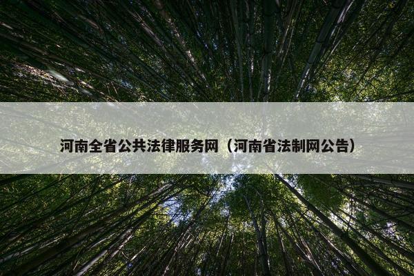 河南全省公共法律服务网（河南省法制网公告）