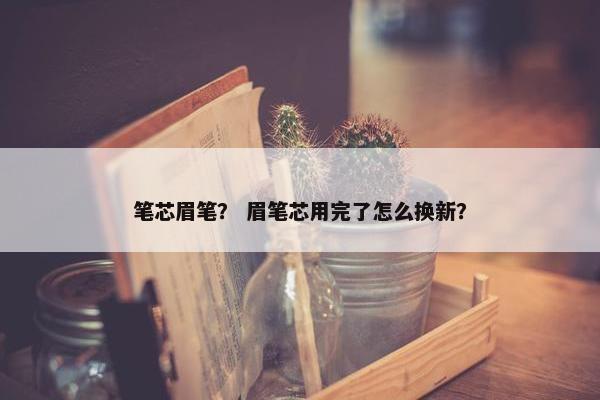 笔芯眉笔？ 眉笔芯用完了怎么换新？