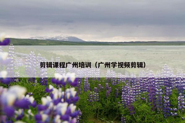 剪辑课程广州培训（广州学视频剪辑）