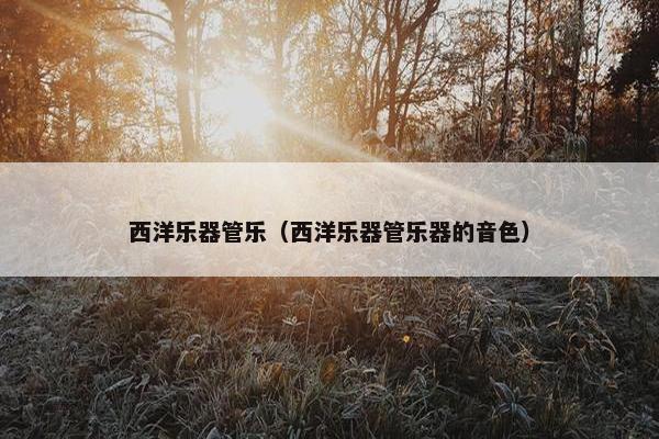 西洋乐器管乐（西洋乐器管乐器的音色）