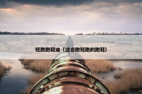短跑跑鞋迪（适合跑短跑的跑鞋）