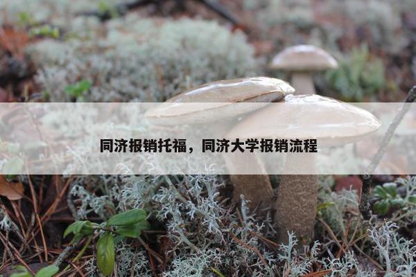 同济报销托福，同济大学报销流程