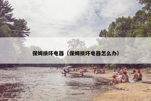 保姆损坏电器（保姆损坏电器怎么办）