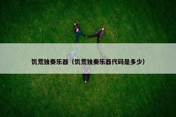 饥荒独奏乐器（饥荒独奏乐器代码是多少）