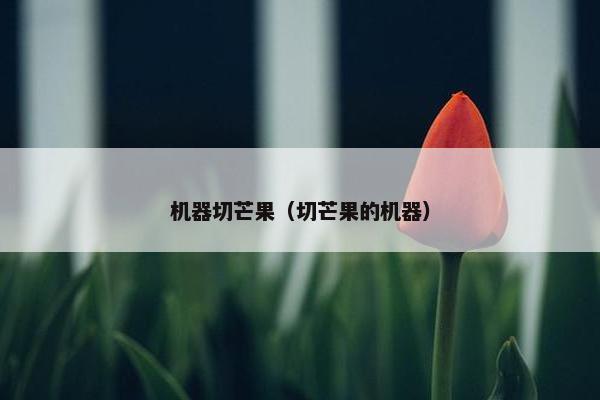 机器切芒果（切芒果的机器）