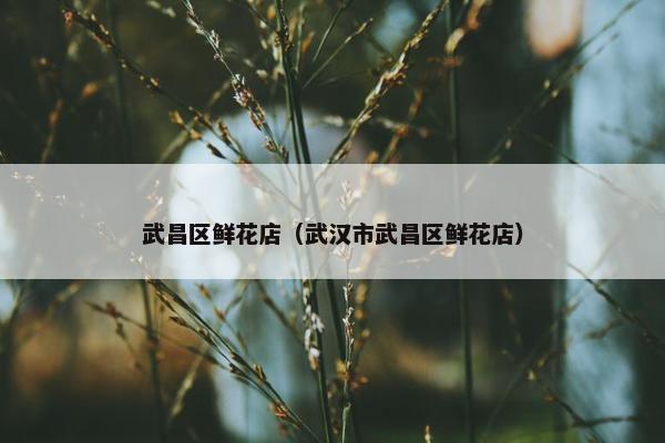 武昌区鲜花店（武汉市武昌区鲜花店）