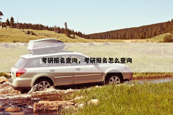 考研报名查询，考研报名怎么查询