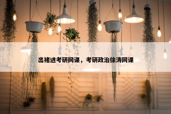 出褚进考研网课，考研政治徐涛网课
