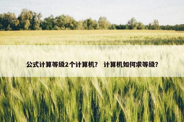 公式计算等级2个计算机？ 计算机如何求等级？
