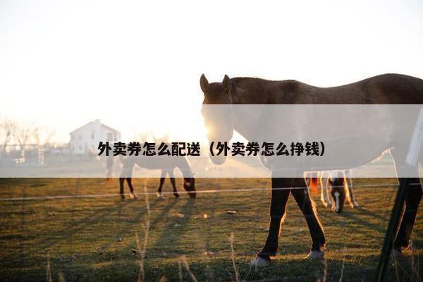 外卖券怎么配送（外卖券怎么挣钱）