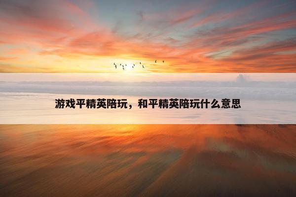 游戏平精英陪玩，和平精英陪玩什么意思