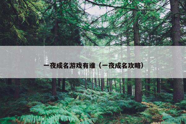 一夜成名游戏有谁（一夜成名攻略）