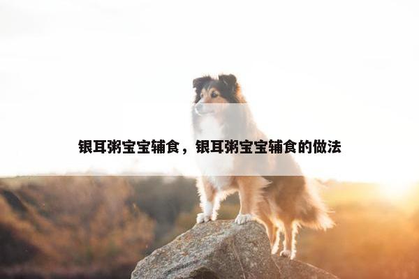 银耳粥宝宝辅食，银耳粥宝宝辅食的做法