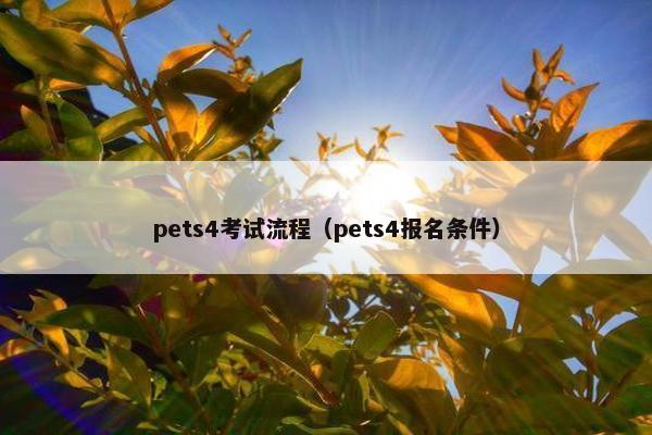 pets4考试流程（pets4报名条件）