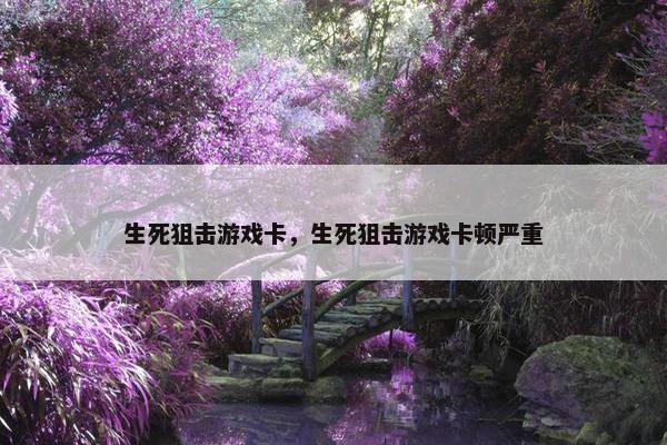 生死狙击游戏卡，生死狙击游戏卡顿严重