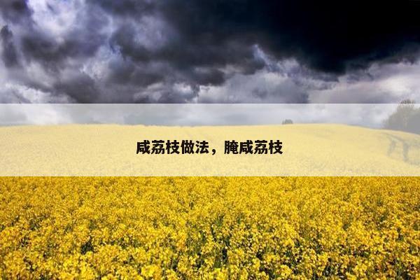 咸荔枝做法，腌咸荔枝