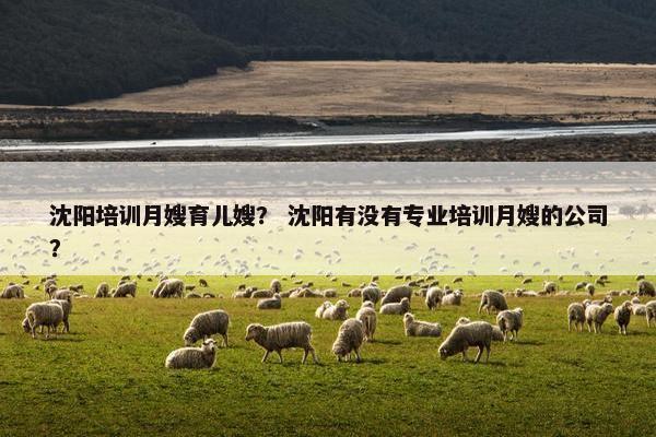 沈阳培训月嫂育儿嫂？ 沈阳有没有专业培训月嫂的公司？